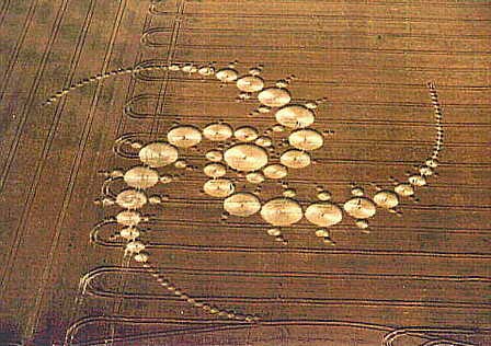 круги на пшеничных полях